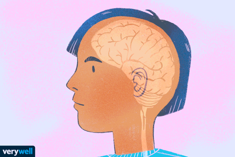 أصول علم النفس من البدايات الفلسفية إلى العصر الحديث